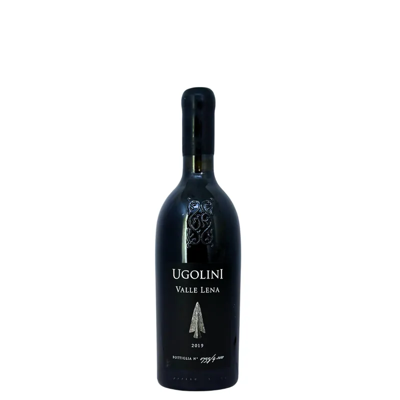 Ugolini Valle Lena  Recioto della Valpolicella Classico 2019 500ml